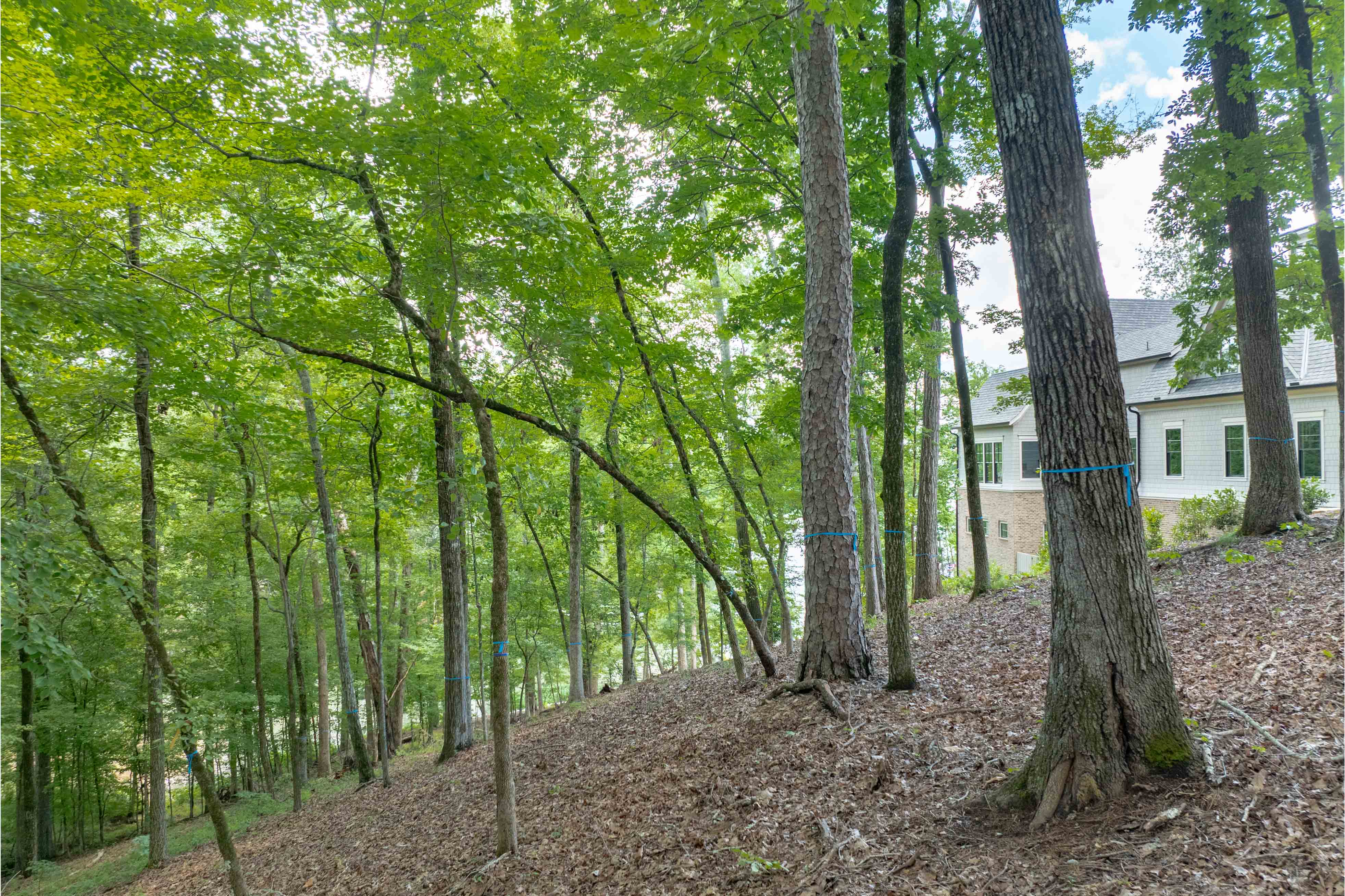 1100 High Bluff Lane image 9